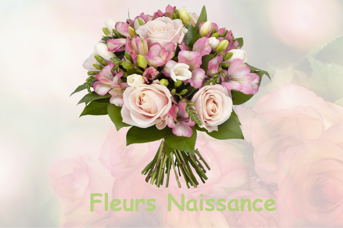 fleurs naissance LAVAULT-DE-FRETOY