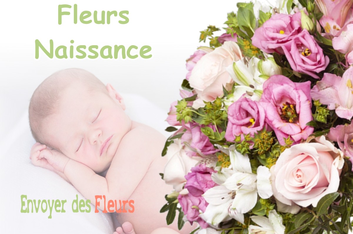 lIVRAISON FLEURS NAISSANCE à LAVAULT-DE-FRETOY